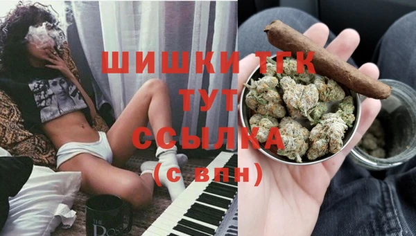 тгк Лагань