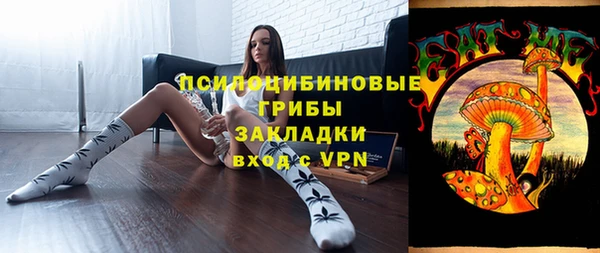 тгк Лагань