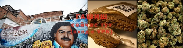 тгк Лагань